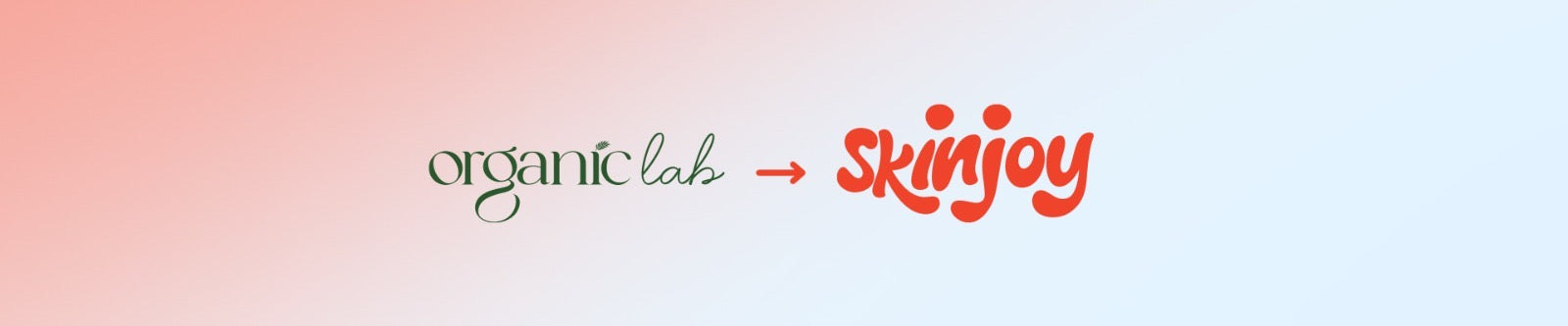 SkinJoy — Our Journey